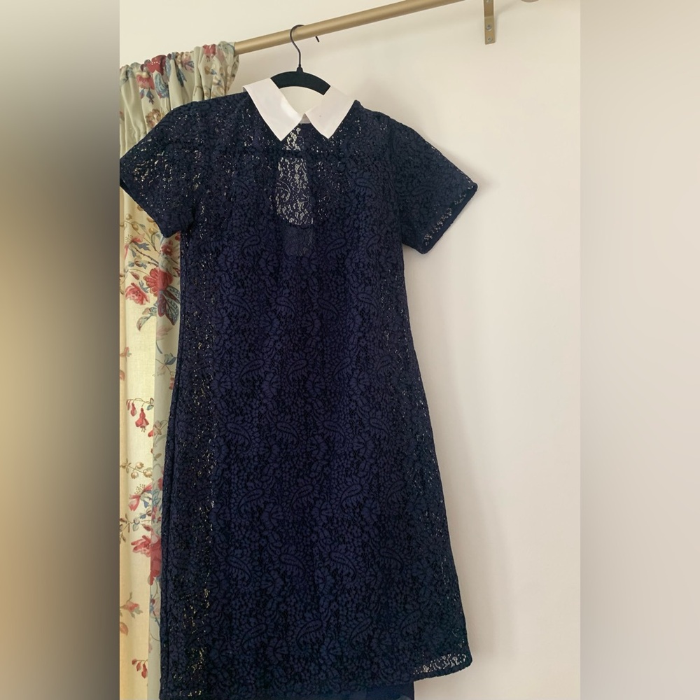 Michael Kors Lace Collared Dress in Navy